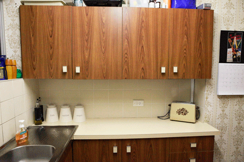 231 Candice of Everton Park