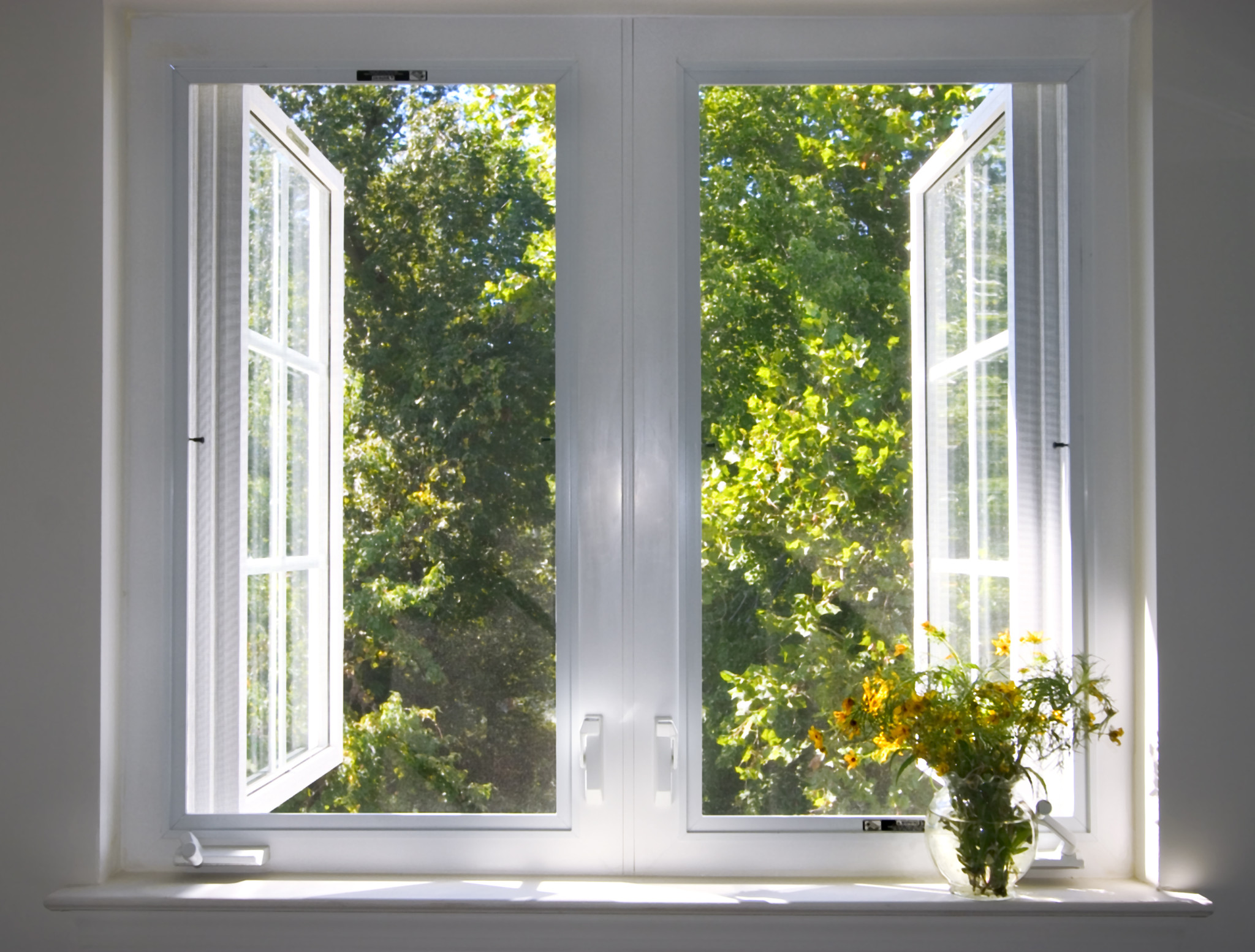 Designing Homes