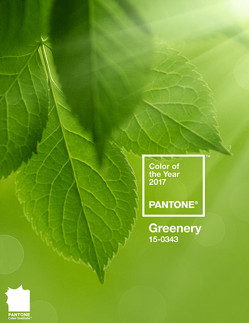 Injecting greenery into the home_Pantone Greenery