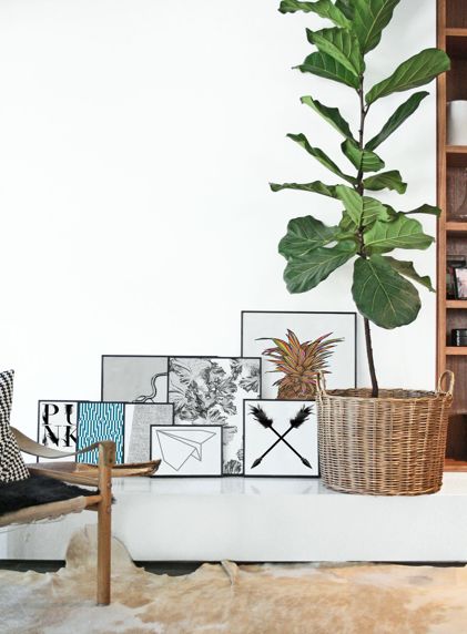 frames Design at The Atlantic, Byron Bay