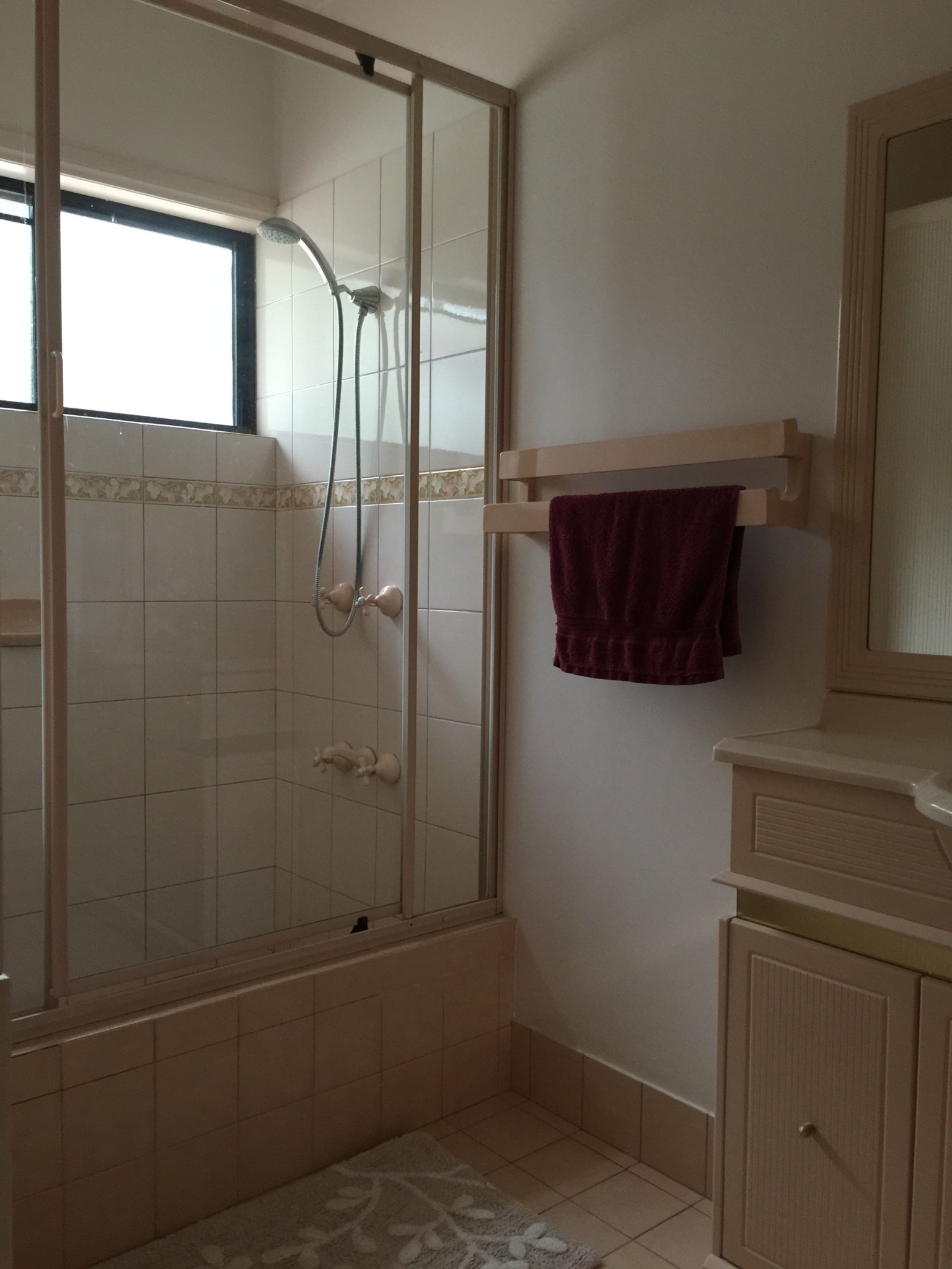 BATHROOM SPACES shower before