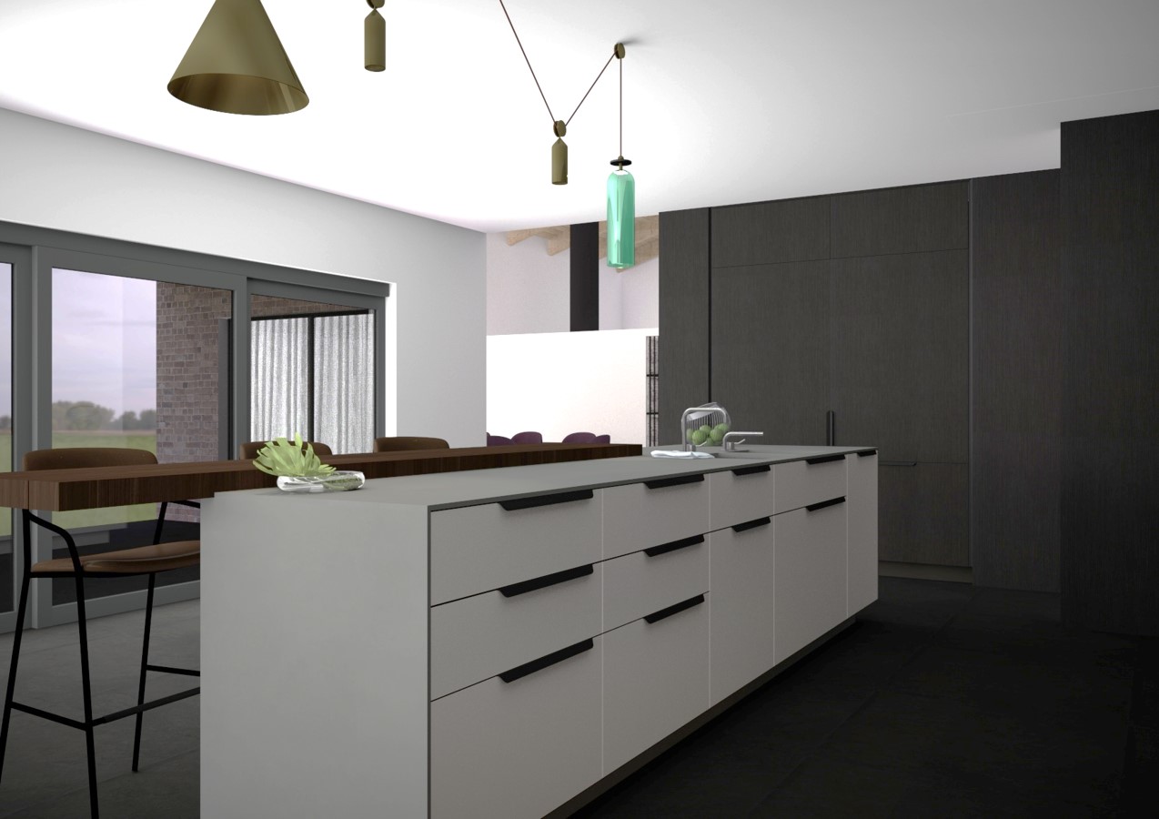 Redland Bay Residence: Kitchen closet renders