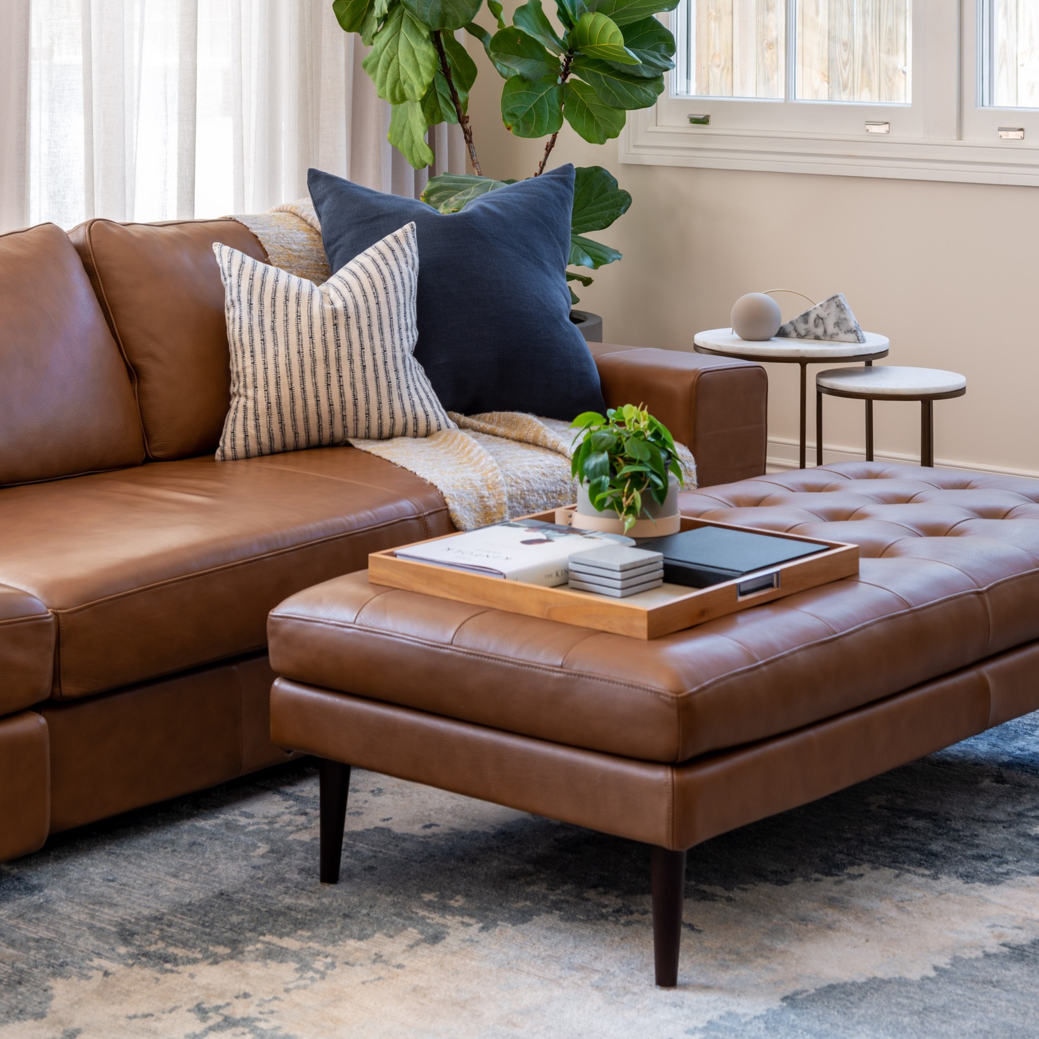 indoor plants designed on dining area