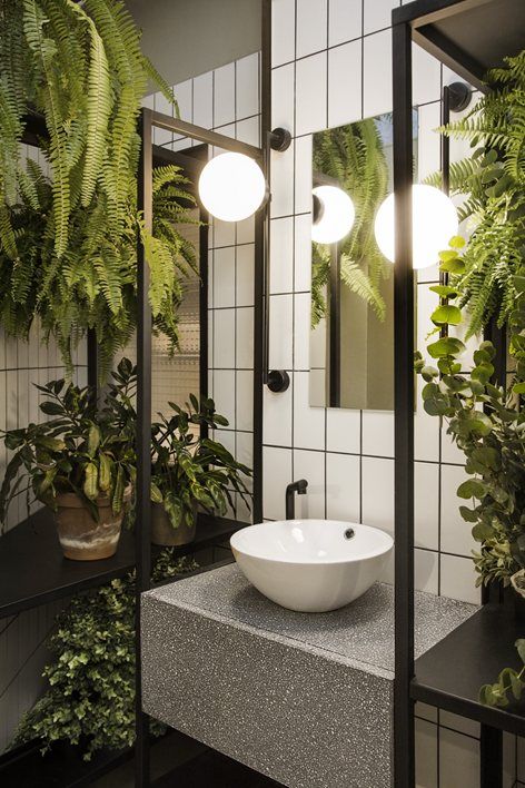 bathroom mirror and green plants