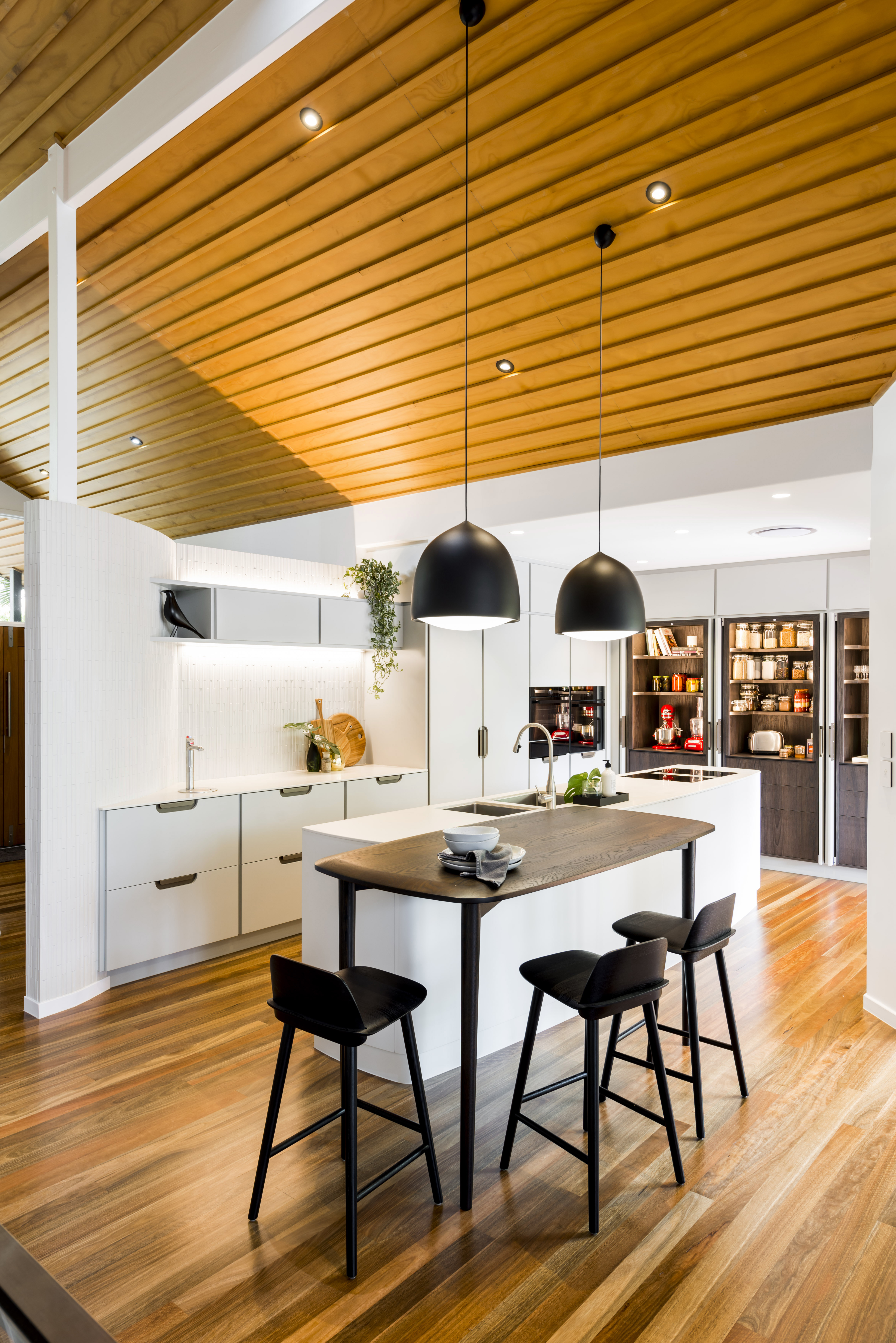PANEL CEILINGS on kitchen